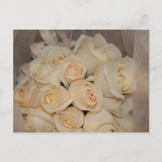 White Roses Postcard