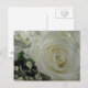White Roses Postcard | Zazzle