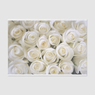 White Roses Tissue Paper