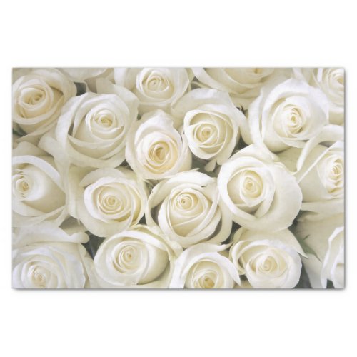 White Roses Tissue Paper