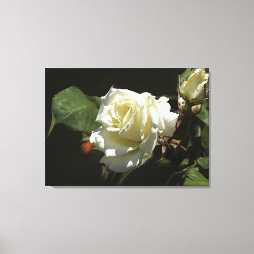 White Roses Wild Flowers Photo Print