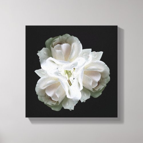 White Roses With Raindrops Bouquet   Canvas Print