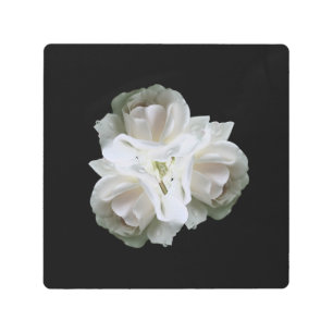 White Roses With Raindrops Bouquet  Metal Print