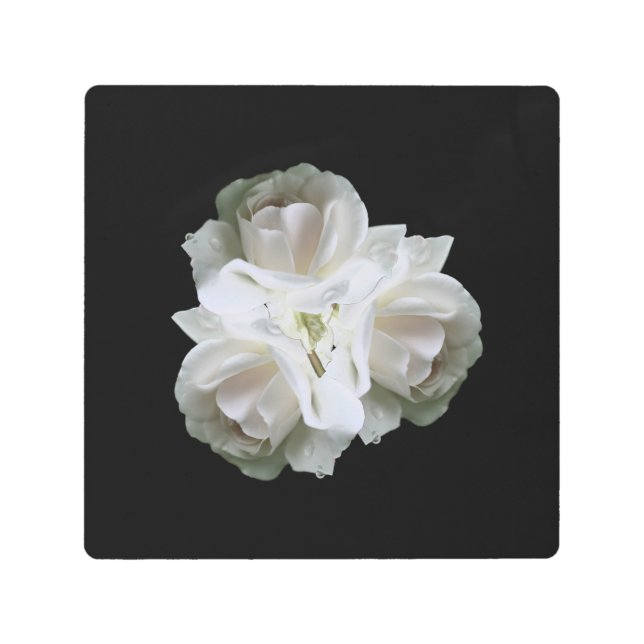 White Roses With Raindrops Bouquet  Metal Print (Front)