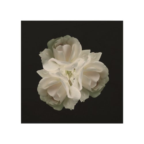 White Roses With Raindrops Bouquet   Wood Wall Art