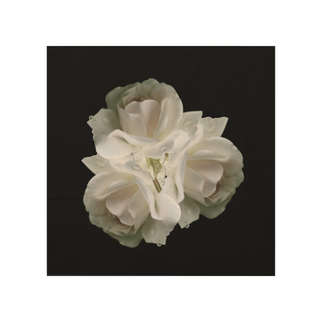White Roses With Raindrops Bouquet   Wood Wall Art (Front)