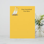 White Runner Ducks (Standing Front)
