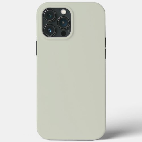 White Sage Solid Color iPhone 13 Pro Max Case