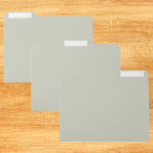 White Sage Solid Color File Folder