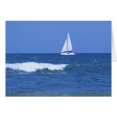 White Sailboat Photograph (Front Horizontal)