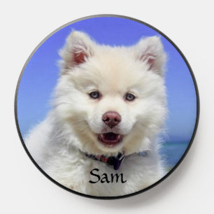 White Samoyed Dog on Light Blue PopSocket