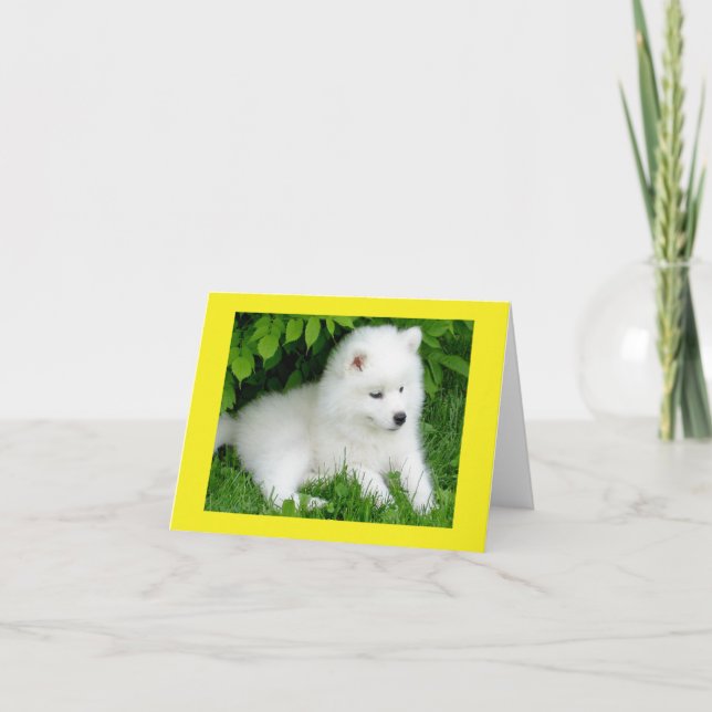 White Samoyed Puppy Dog Blank Note Card (Front)
