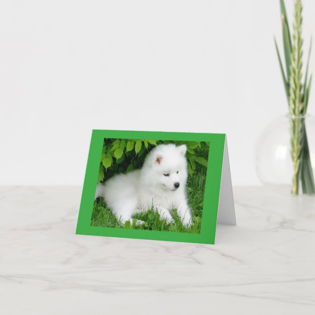 White Samoyed Puppy Dog Blank Note Card (Front)