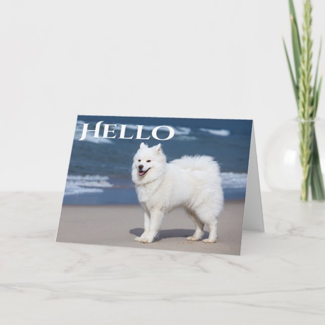 White Samoyed Puppy Dog - Hello, Thinking Of You Card (Front)