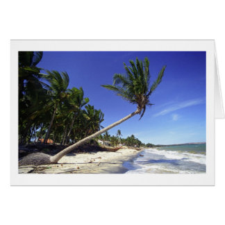 White-sand Beach with Palm Trees, Mui Ne (Vietnam) Cards