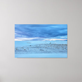 White Sand National Park Canvas Print