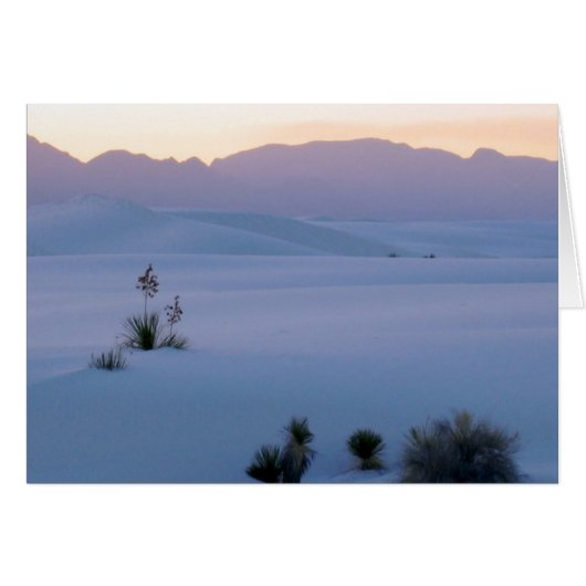 White Sands Cards (Front Horizontal)