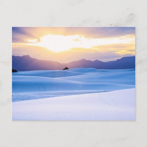 White Sands National Monument 3 Postcard