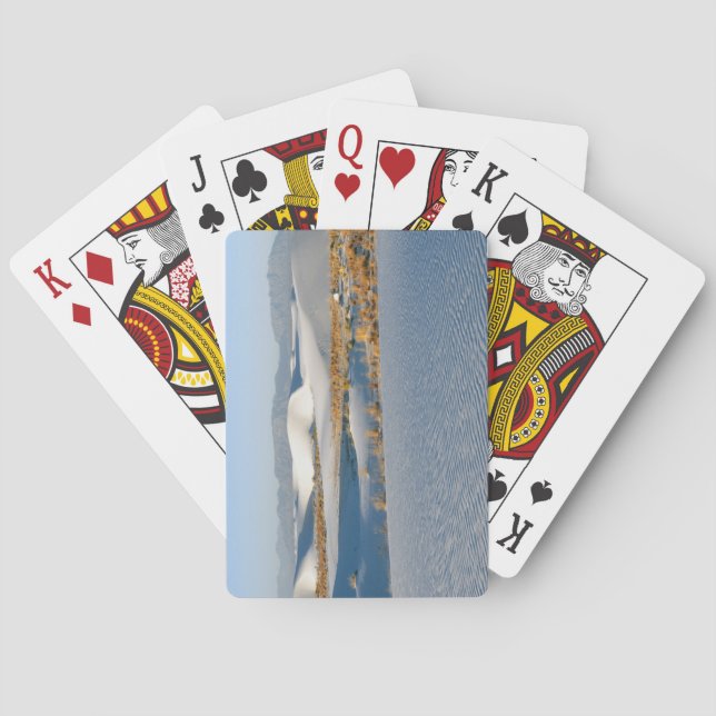 White Sands National Monument, Transverse Dunes Poker Cards (Back)