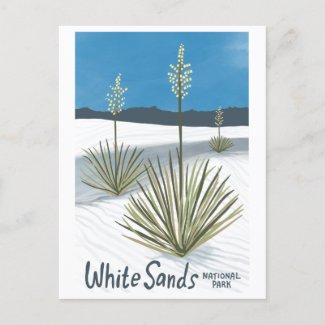 White Sands National Park New Mexico Gypsum Yucca Holiday Postcard
