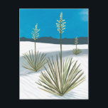 White Sands National Park New Mexico Gypsum Yucca Postcard<br><div class="desc">Check out this awesome colored pencil illustration of beautiful White Sands National Park and get ready to explore these white gypsum dunes! Check out my shop for more designs too! Collect all the parks, I'm creating new ones all the time. Check out my shop for more hiking, camping, vanlife, birds...</div>