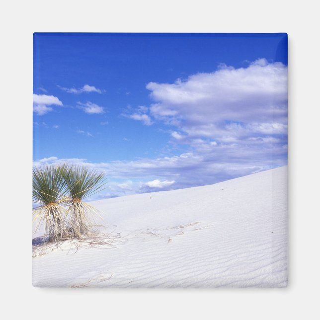 White Sands NM, New Mexico, USA Magnet (Front)