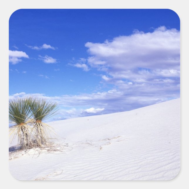 White Sands NM, New Mexico, USA Square Sticker (Front)