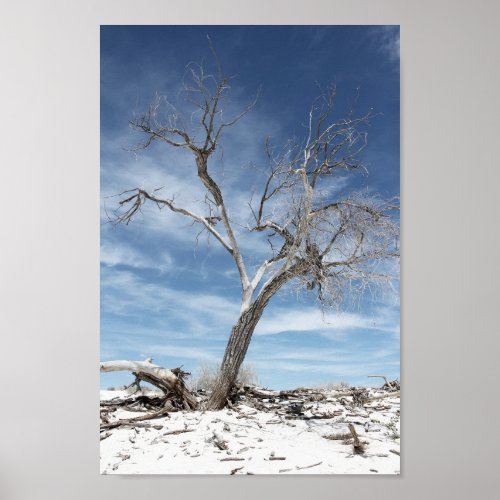 White Sands Zion National Park  Photo Poster