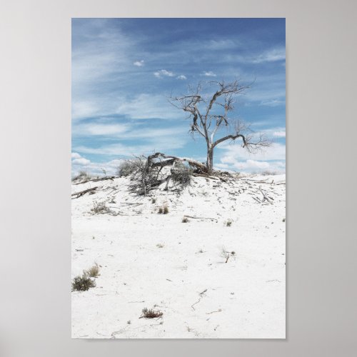 White Sands Zion National Park  Photo Poster