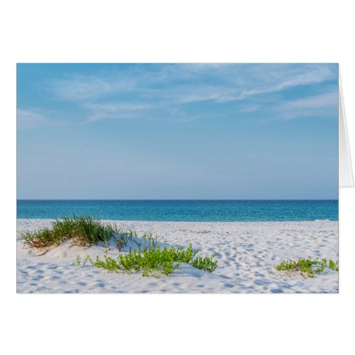 White Sandy Beach Florida Coastline Greeting Card