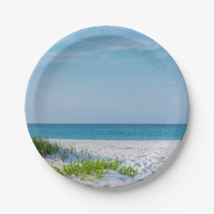White Sandy Beach Florida Coastline Paper Plates
