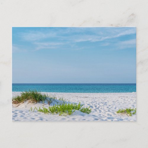White Sandy Beach Florida Coastline Postcard