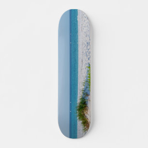 White Sandy Beach Florida Coastline Skateboard