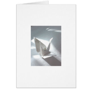 White Satin Crane Cards