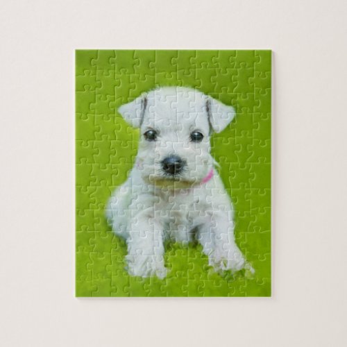 White Schnauzer Puppy Jigsaw Puzzle