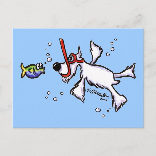 White Schnauzer Snorkeling Under Blue Sea Postcard (Front)