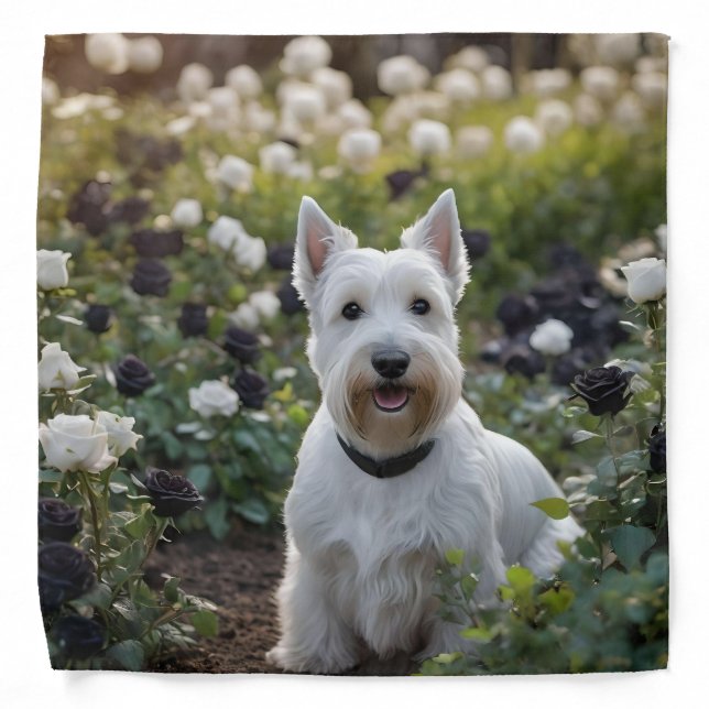 White Scottish Terrier With Black White Roses, Bandana (Front)
