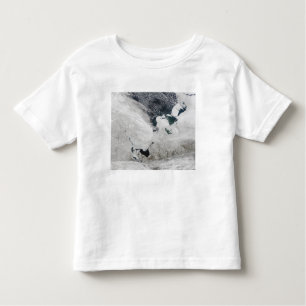 White Sea, Russia Toddler T-shirt