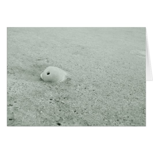 White Sea Shell On Sandy Beach Cards (Front Horizontal)