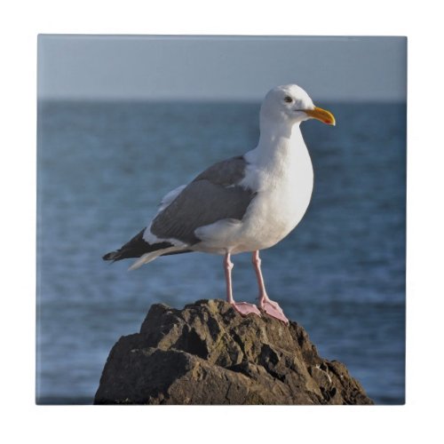 White seagull and ocean ceramic tile