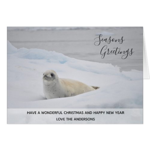 White Seal Arctic Christmas Winter Snow Custom