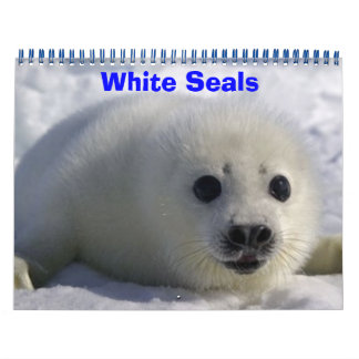 White Seals! Calendar