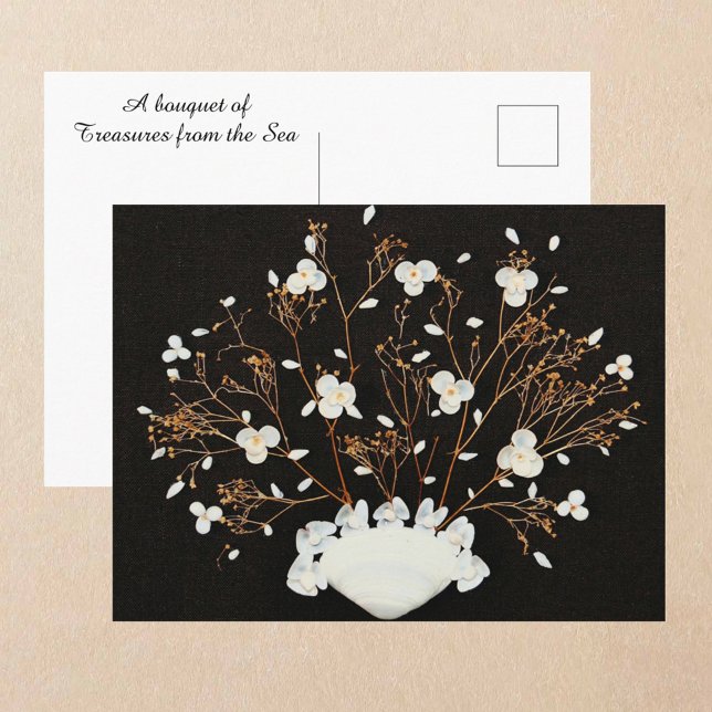 White Seashell Bouquet Dramatic Black Postcard (Creator Uploaded)