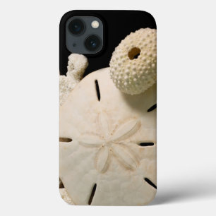 White Seashells And Sand Dollar iPhone 13 Case