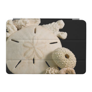 White Seashells And Sand Dollar iPad Mini Cover