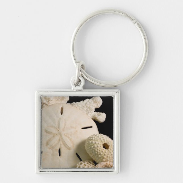 White Seashells And Sand Dollar Keychain (Front)