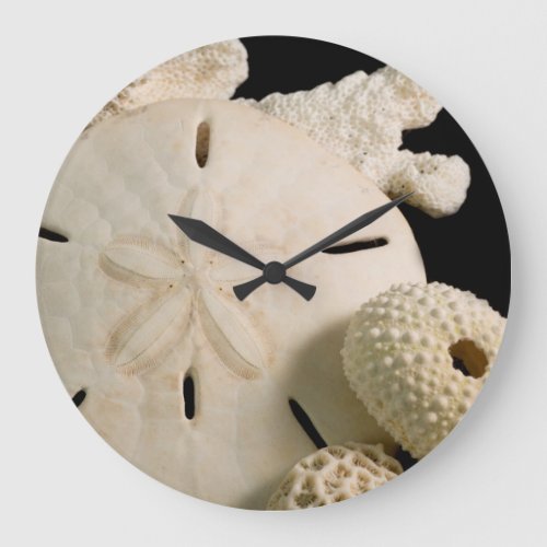 White Seashells And Sand Dollar Large Clock