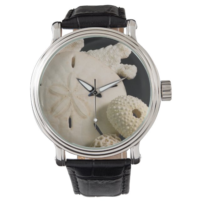 White Seashells And Sand Dollar Watch (Front)
