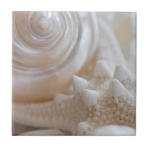 White Seashells Starfish Tropical Beach Sea Shells