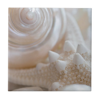 White Seashells Starfish Tropical Beach Sea Shells Ceramic Tile